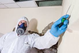 Asbestos Testing – Certified Experts for Precise Sample Analysis