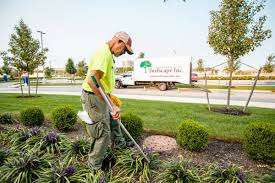 Expert Insights: Landscape Maintenance Strategies That Pay Off